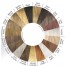 Envy wigs_color chart